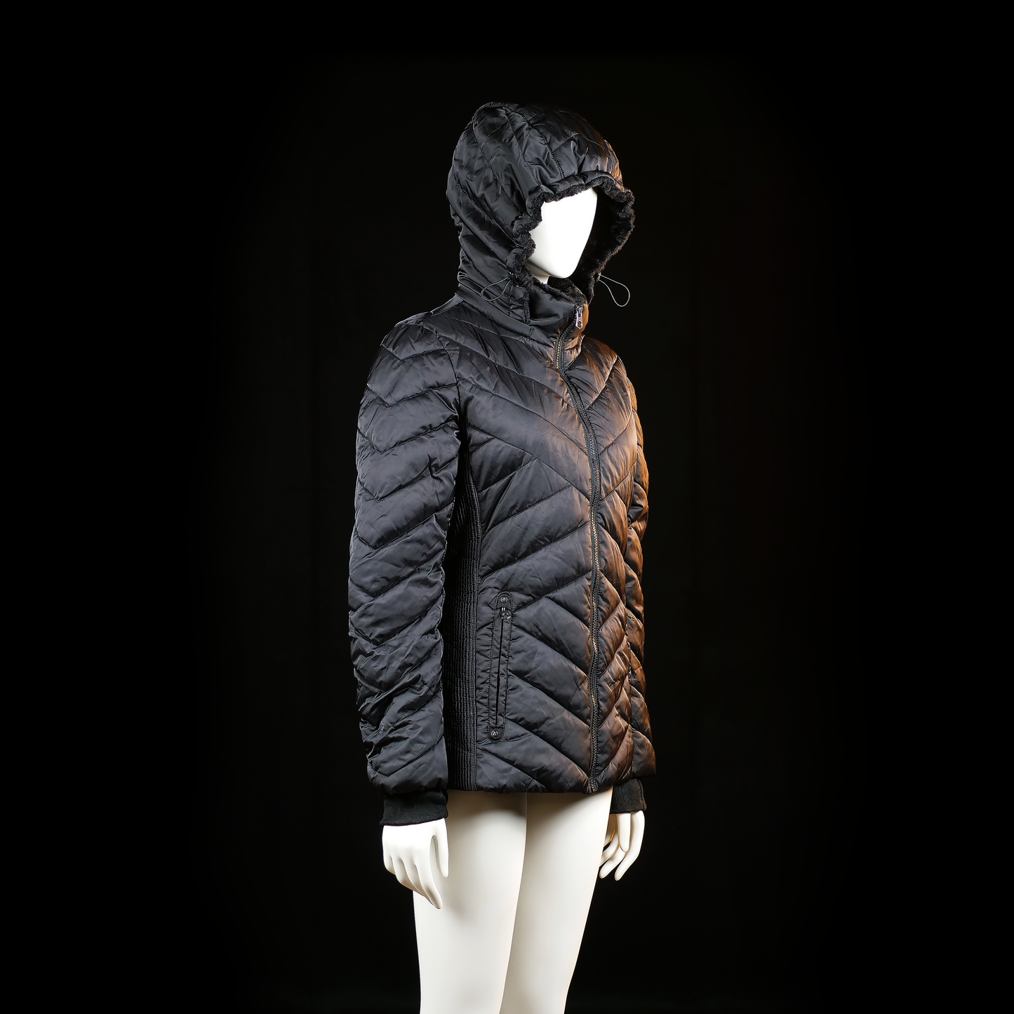 Padded jacket - Black - Size L